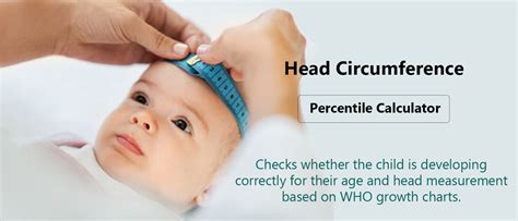 Head Circumference Percentile Calculator · Dr Dad