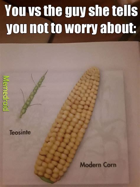 The best Corn memes :) Memedroid