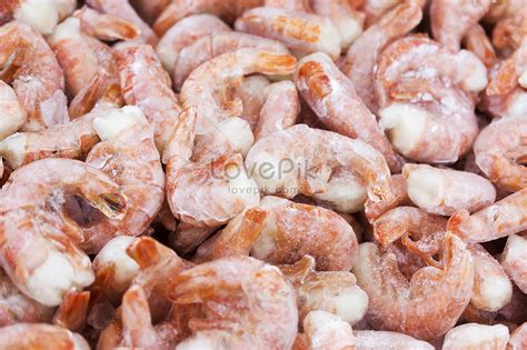 Frozen Prawn Picture And HD Photos | Free Download On Lovepik