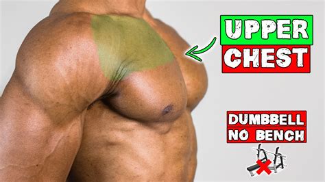 Dumbbell Chest Exercises Without Bench At Home | EOUA Blog