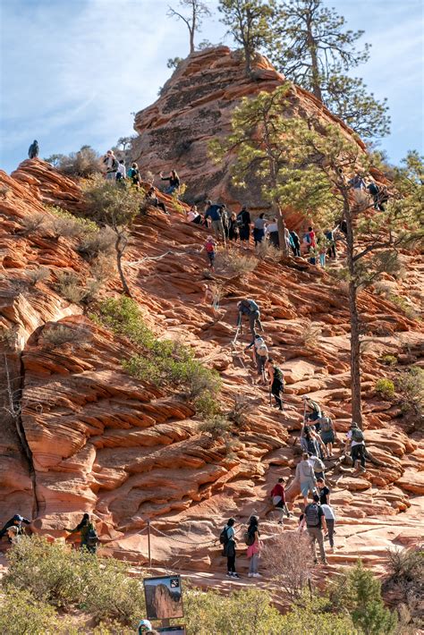 Want to hike Angels Landing in Zion National Park? Apply for your ...
