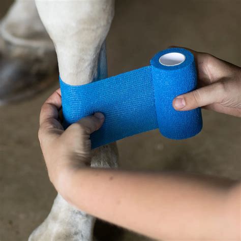 Equine Product Horse Leg Wrapping Hock Wrap Self Adhesive Cohesive Bandages Horse 10cm - Buy ...