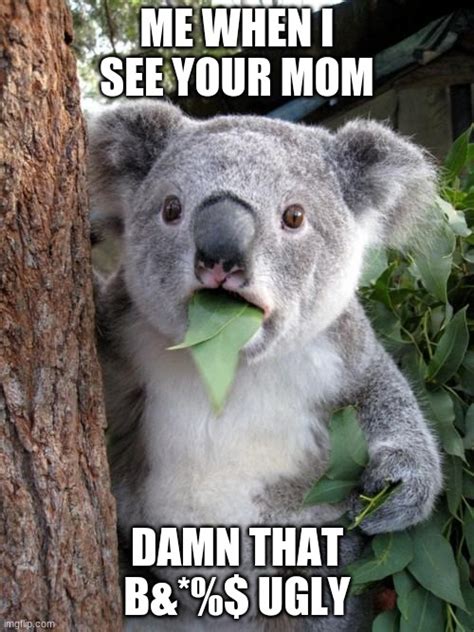 Surprised Koala Meme - Imgflip