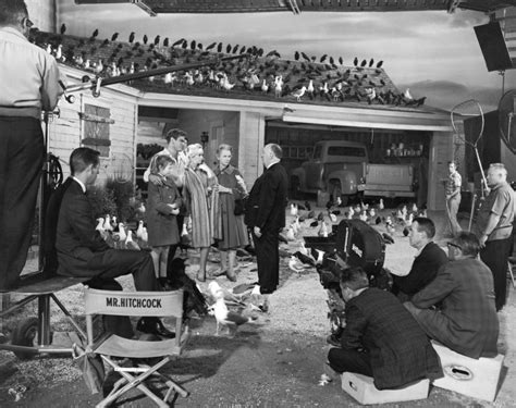 Behind the Scenes: The Birds (1963) | MONOVISIONS - Black & White ...