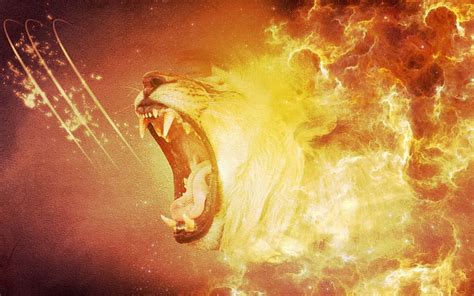 1920x1080px, 1080P free download | ~Lion's Roar~, primate, roar, lion ...