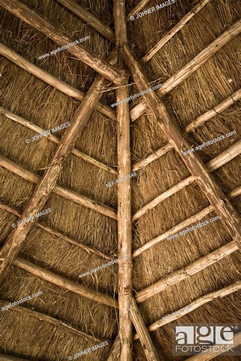 Interior with thatched roof, Stock Photo, Picture And Royalty Free ...