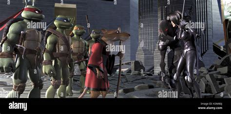 TMNT Raphael, Leonardo, Michelangelo, Donatello, Splinter and Karai ...