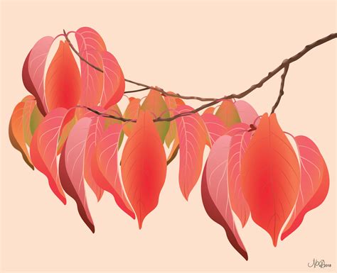 Vector Art by Noor — Autumn Cherry Leaves. You can purchase prints...