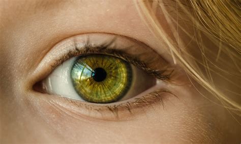 The human eye – how does eyesight work? | uvex safety