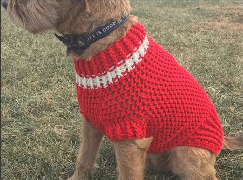 Easy Crochet Dog Sweater for Small Dogs - Garcia Dentoorse