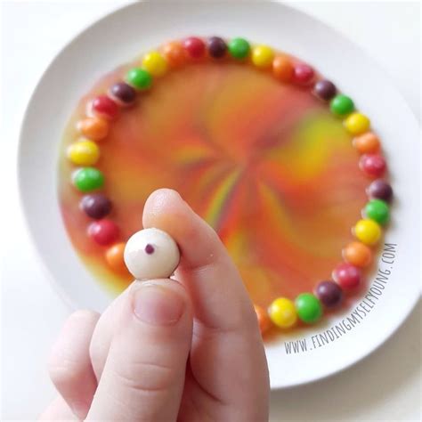 How to Make a Skittles Rainbow | Finding Myself Young