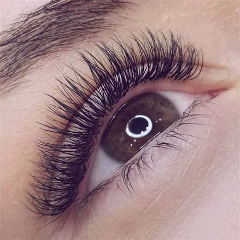 Hybrid Lashes | Nouveau Lashes