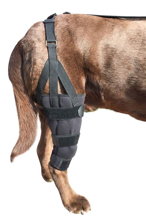 Labra Dog Canine K9 Knee Stifle Brace Wrap Metal Splint Hinged Flexible ...