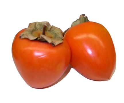 persimmon clipart png - Clip Art Library