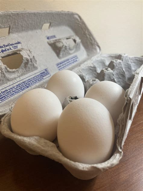 Yearlong avian flu outbreak contributes to high egg costs · The Badger Herald