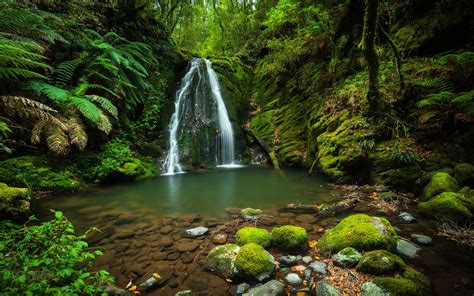 New England National Park Of Northern Tabeland In New England New South ...