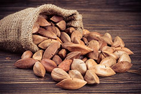 Pili nuts, grown as food in the Philippines, may be the next keto-friendly superfood