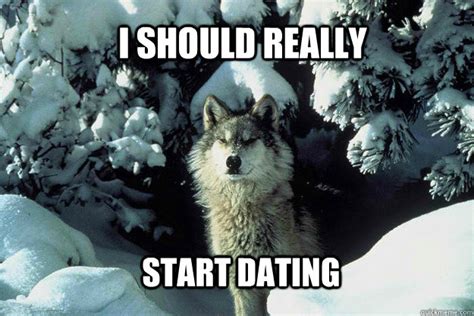 Lonely Wolf memes | quickmeme