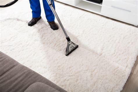 How Do I Choose a Carpet Cleaning Services? | Cmsmd