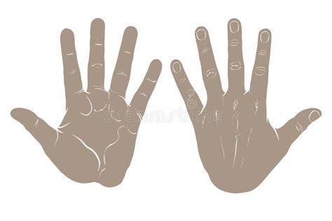 The Back of the Hand, Outline Version Stock Vector - Illustration of graphic, element: 219035461
