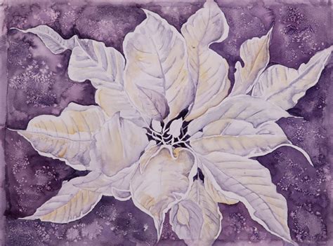 Watercolor Poinsettia Flower at PaintingValley.com | Explore collection of Watercolor Poinsettia ...