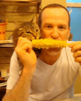 Corn on the Cob for Two | Content in a Cottage Animals And Pets, Funny Animals, Cute Animals ...