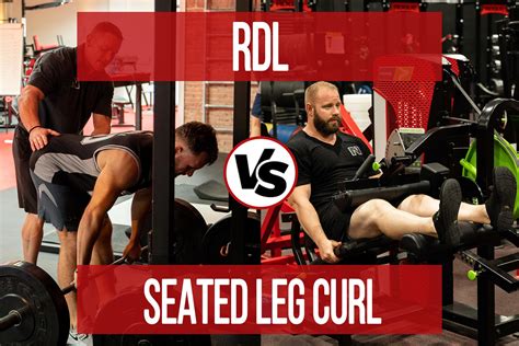 Seated Leg Curl vs RDL - N1 Training