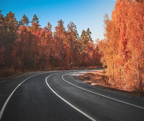 Premium Photo | Country road. autumn.