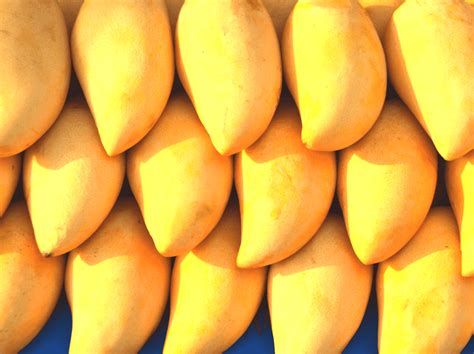 Fresh Mangoes | ubicaciondepersonas.cdmx.gob.mx