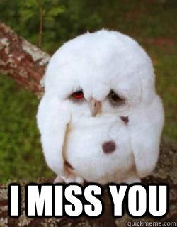 I miss you - Sad Owl - quickmeme