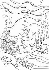 Free SEAL Coloring Pages For Download Printable PDF sketch template