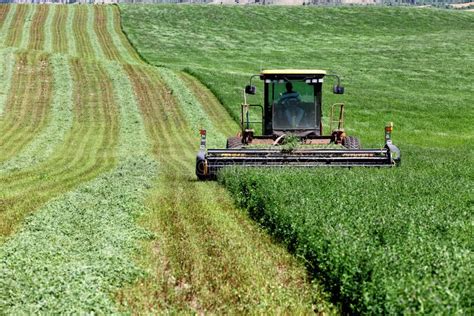 Harvesting Hay in an Idaho Alfalfa Field. Editorial Photo - Image of ...