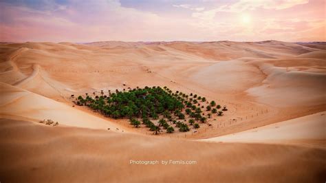 Things to do in Liwa - Explore the Empty Quarter Desert