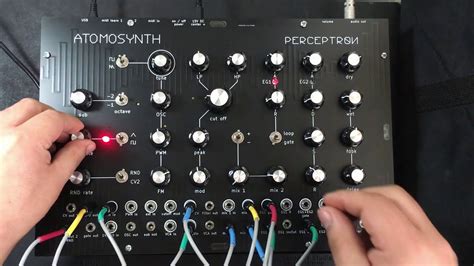 AtomoSynth Perceptron demo patch: waaaw - YouTube