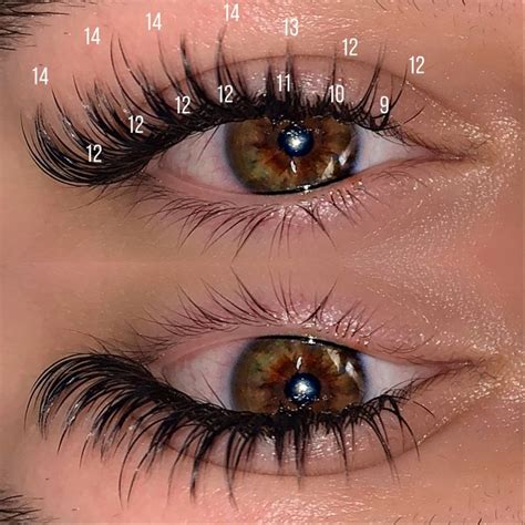 WISPY WET SET LASH MAP in 2022 | Lashes fake eyelashes, Lash extensions ...