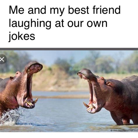 Me and my best friend be like | Funny best friend memes, Friendship memes, Really funny memes