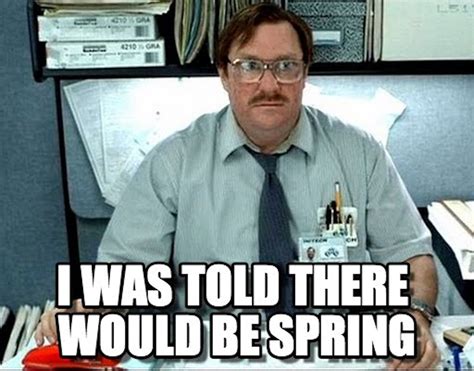 15 Funny Spring Memes To Get You Through These Chilly "Spring" Days