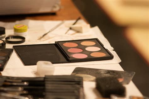Makeup Blush Kit Free Stock Photo - Public Domain Pictures
