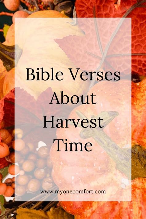 Bible Verse About Harvest Time – My One Comfort