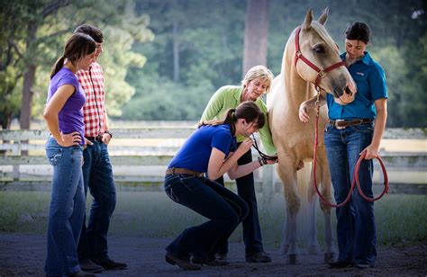 Animal Science Degree: Major or Minor | Berry College