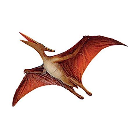 Pteranodon Pictures & Facts - The Dinosaur Database