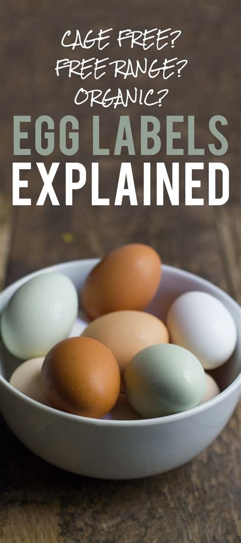 Cage-Free or Free Range: Egg Labels Explained - Wholefully