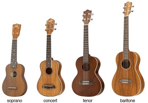 Different Types of Ukuleles | Which is best for you?