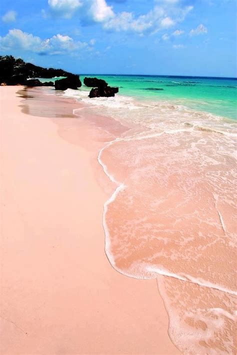 Pink+Sand+Beach,+Bermuda.jpg