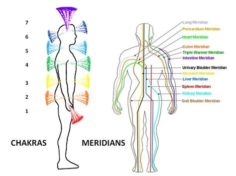 What are chakras and meridians and how do they relate with our body and its energy? Can we ...