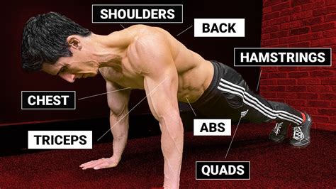 How to Hit EVERY Muscle with a Pushup! (TOTAL BODY) - YouTube