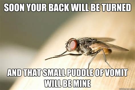 Evil Plotting Fly memes | quickmeme