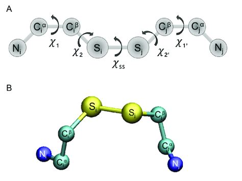 Geometry of a disulfide bond. (A) Schematic of the five torsion angles... | Download Scientific ...