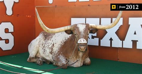 Why Longhorns Owe Their Survival in Part to Oklahoma | The Texas Tribune