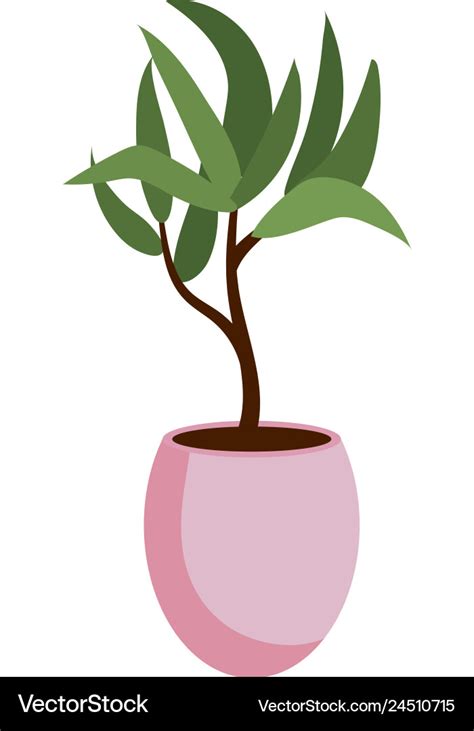 House plant cartoon Royalty Free Vector Image - VectorStock